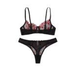 Conjunto Lenceria Transparente Sensual Calzon Y Sosten Sexy - Imagen 5